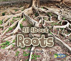 all-about-roots